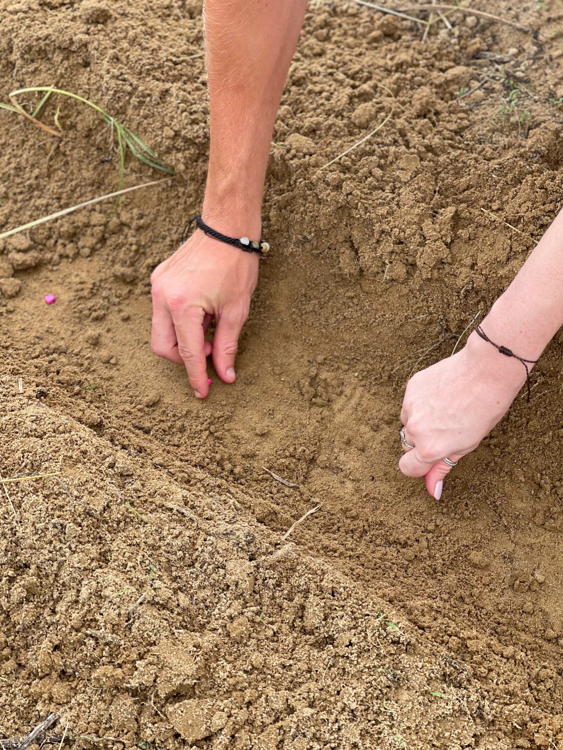 z6900209333161_188833afec12a185be23e35563754870